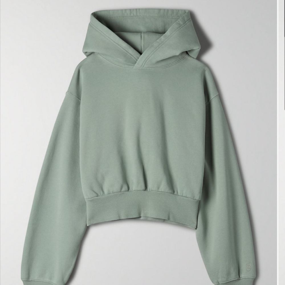Aritzia Hoodie